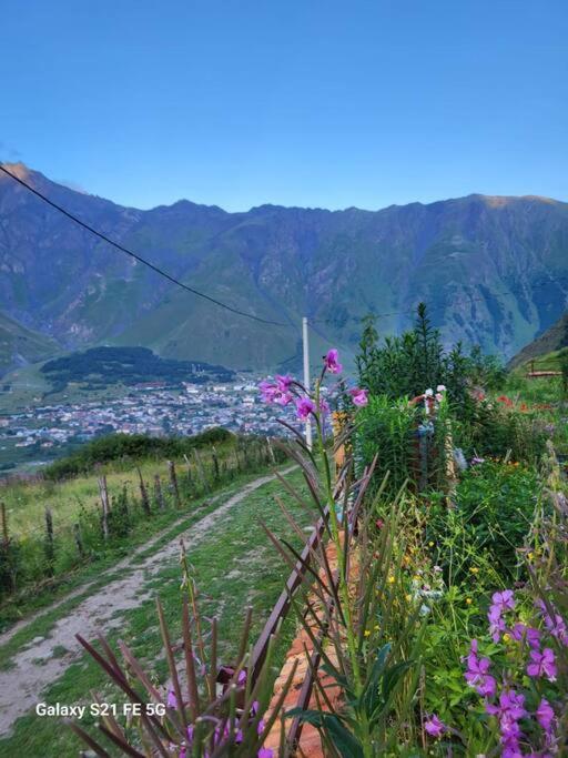 Villa Peak House Kazbegi Esterno foto